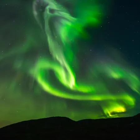Aurora Glamping By The Whales 2* Skjervoy